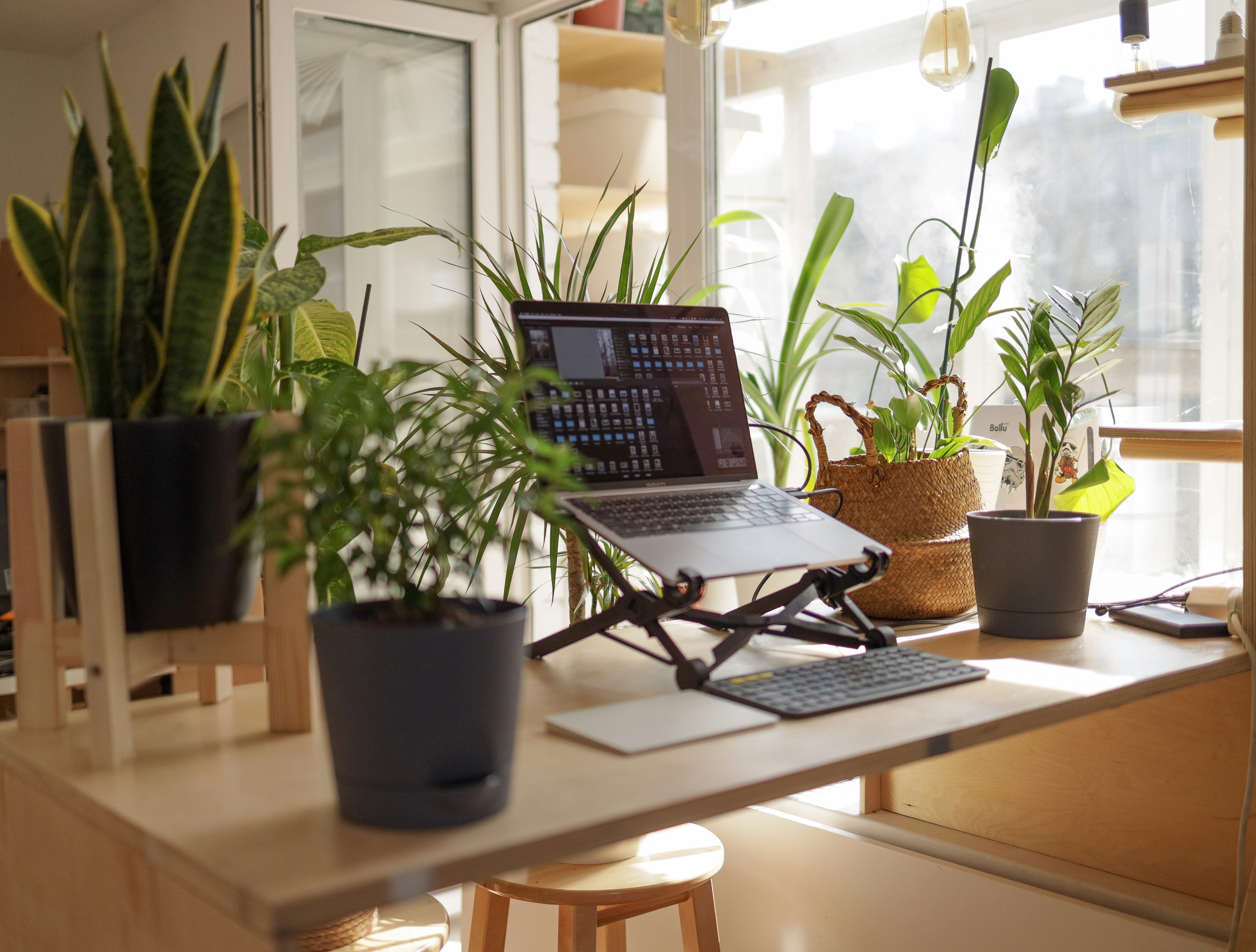 Work from Home